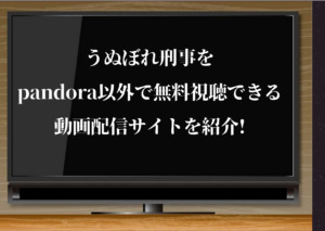 見逃し動画 ナイトドクター はhuluで無料視聴できるか 動画配信サイトで無料で見る方法を紹介 ジャニーズcinema N Drama